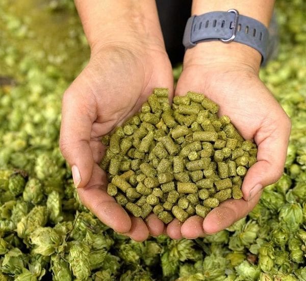 Freestyle Hops Case Study Fuelchief